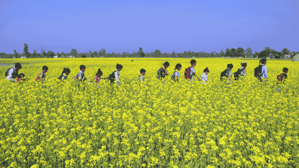 Children walking through a bright yellow mustard field on their way to school, symbolizing hope, resilience, and the pursuit of a better future despite poverty.